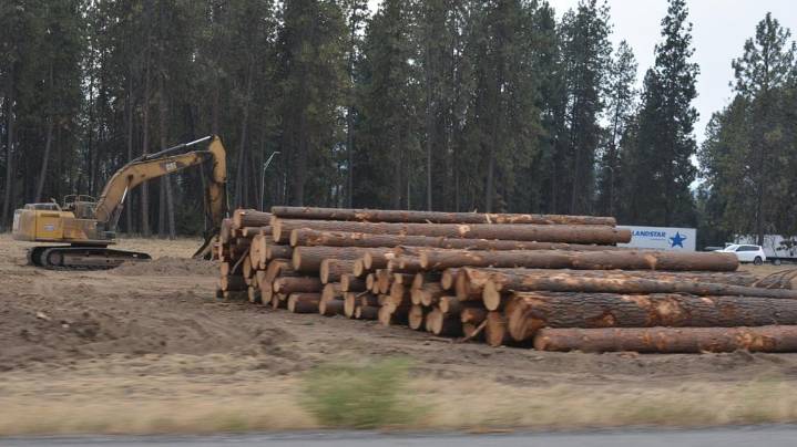 Trees come down for I-90 work in Coeur d'Alene