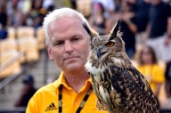 Watch Louisiana Tech vs Kennesaw State streaming free without cable; Channel, time, odds