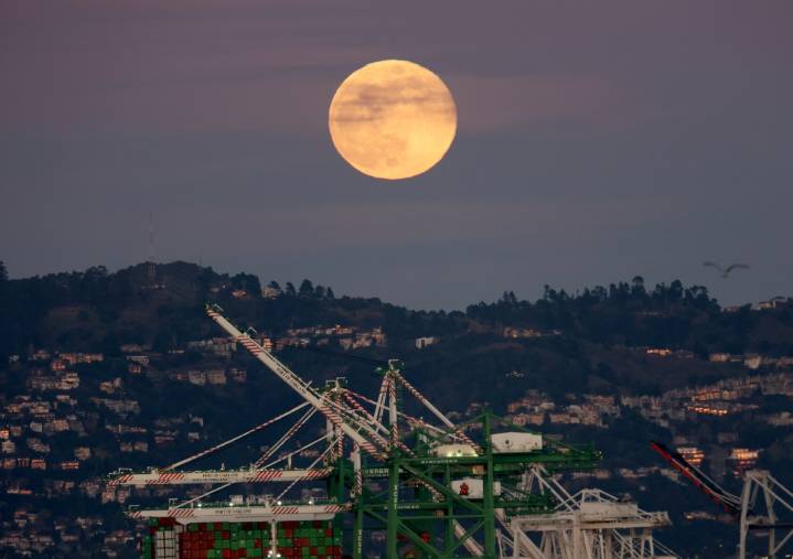 A Japanese viewing party for the full ‘Blood Moon’ in Oakland