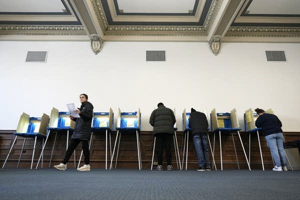 Woman who cast dead mom's ballot must write essay