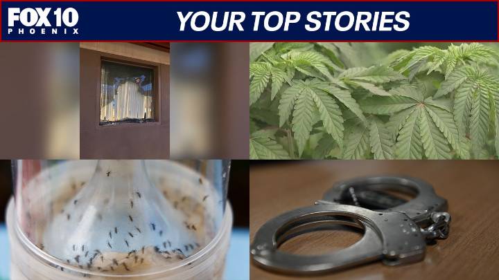Marijuana recall in Arizona; suspects in deadly shooting arrested