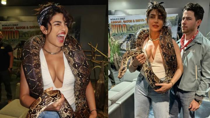 Priyanka Chopra casually poses with a python, Nick Jonas’s reaction steals attention