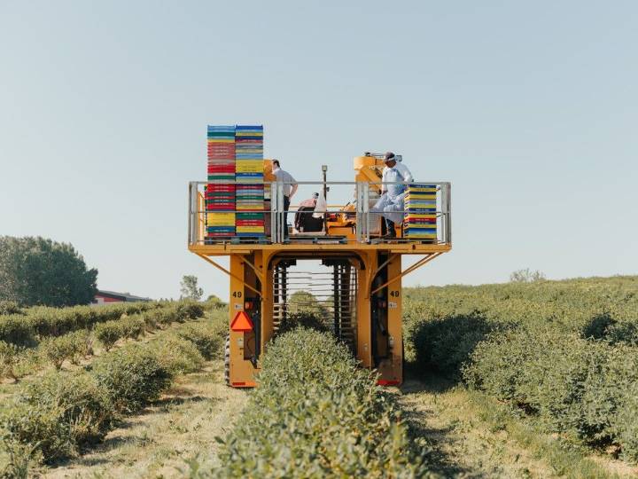 Lethbridge flourishes as a hub for Alberta’s artisanal food producers