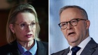 Sussan Ley urges Anthony Albanese to change ‘disaster’ draft environmental reform