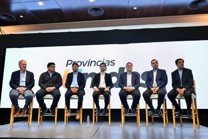 Provincias Unidas vs pasión, polarización y relato, con un ojo en el humor social y lo que se viene en el Congreso