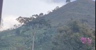 Risaralda: Enfrentamientos entre Policía y Ejército con el Clan del Golfo en zona rural de Belén de Umbría
