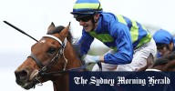 Mitchell Freedman on same path to conquer Hill Stakes at Rosehill again with Attrition