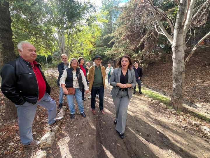 PSOE exige actuación urgente para salvar el parque de Bola de Oro