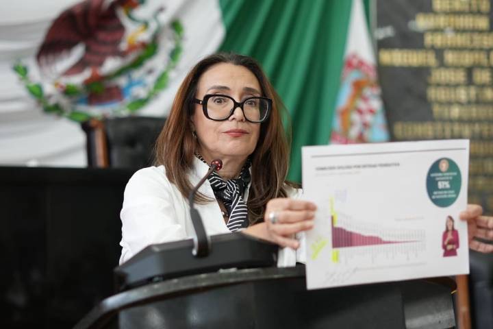 Leticia Ortega cuestiona a la SSPE sobre avances y trabajo de la Plataforma Centinela