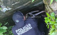 Policías de Tizimín rescatan a perro que cayó en un sumidero