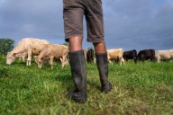 Colorado leaders call Trump's plan to import beef from Argentina 'a slap in the face'
