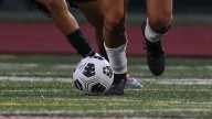 How Long Island's new minor-league soccer team could impact the high school game
