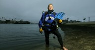 A retired teacher found some seahorses off Long Beach. Then he built a secret world for them