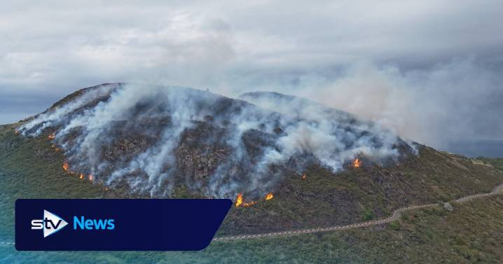 Warning over Scotland's natural resilience to wildfires after spate of devastating blazes