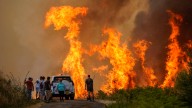 El sistema Copernicus cifra en más de 170.000 las hectáreas quemadas desde el inicio del verano en Galicia