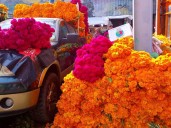 Aromas y colores inundan el Mercado de Jamaica por preparativos del Día de Muertos