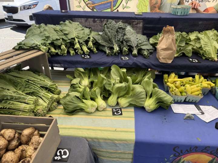 NC farmers, local markets caught in SNAP policy crosshairs