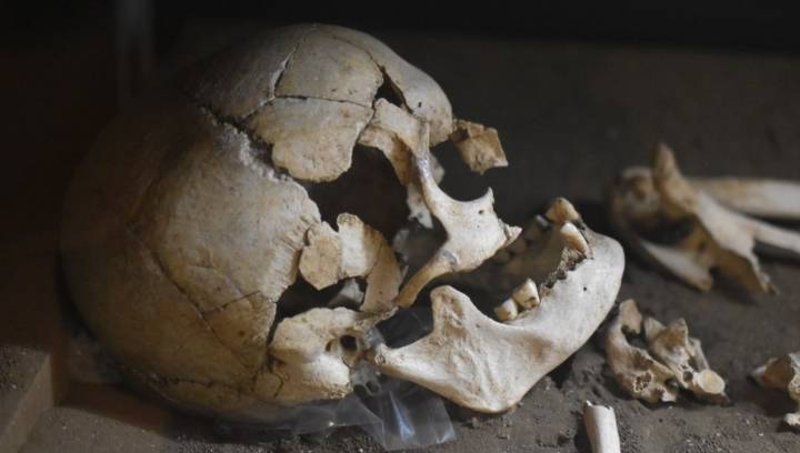 Prehistoric Jomon Hunter-Gatherers Were One Of The Only Groups Outside Africa With Nearly No Denisovan DNA