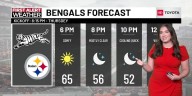 Bengals tailgate, game forecast