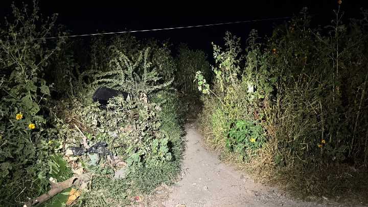 Niña de 4 años es hallada muerta en Tlajomulco; la abandonaron en una bolsa de plástico