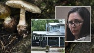 Mushroom murder books hit the shelves, with fresh takes