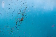 Scientists have puzzled over what happens to plastic as it breaks down in the ocean