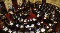 El Senado sesionará este jueves para rechazar los vetos sobre el Garrahan y universidades