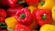 El pimiento del Bierzo (León): orgullo, sabor y esencia de una tierra