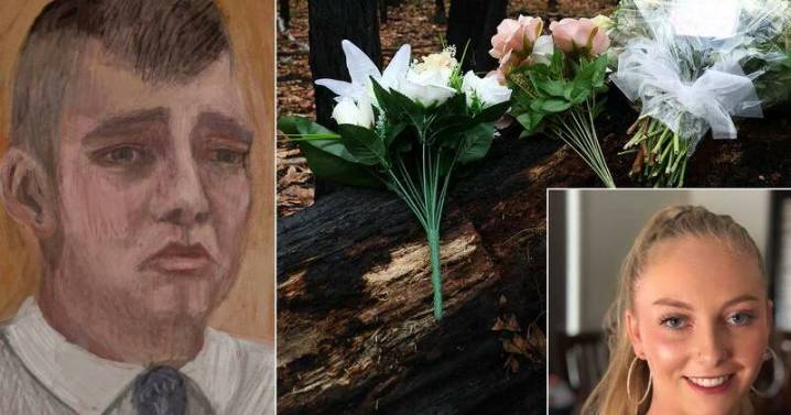 Killer argues mid-trial plea should reduce jail term