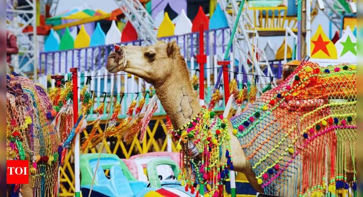 From being world's largest camel fair to being a spiritual destination: 7 reasons to visit Pushkar Mela today and how