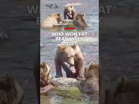 Who won Fat Bear Week 2025?