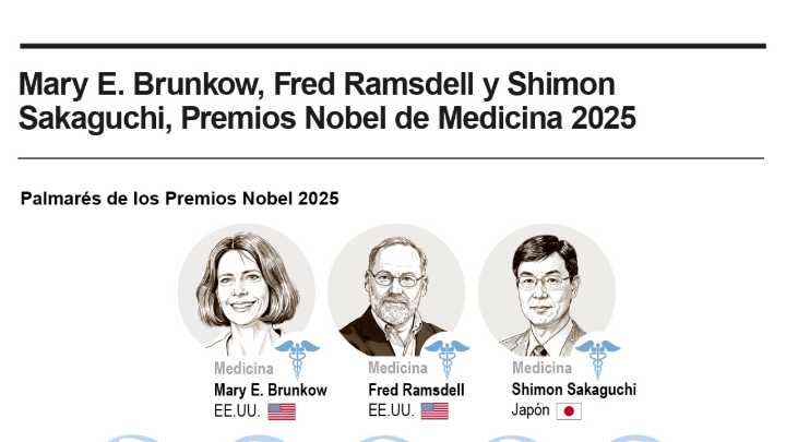[Infografía] El Nobel de Medicina reconoce los descubrimientos sobre cómo se regula el sistema inmune