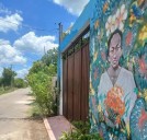YUCATÁN | Casa Colibrí denuncia usurpación de identidad por parte de una abogada en Valladolid