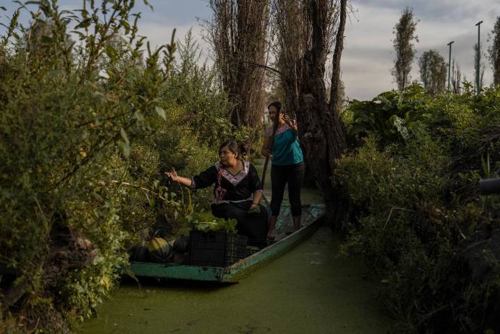 Conoce a las mujeres que luchan por preservar las milenarias islas de cultivo de Ciudad de México