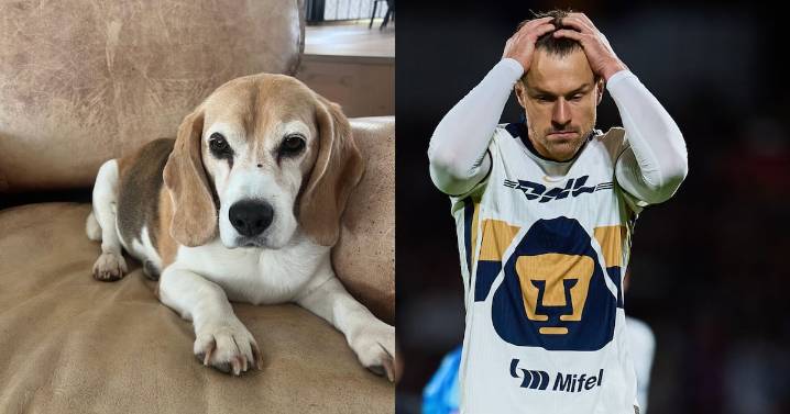 ¡Se va de México! Pumas habría roto contrato con Aaron Ramsey,  tras la desaparición de su perro