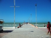 Conapesca decreta cuatro nuevas Zonas de Refugio Pesquero en Yucatán, Colima y Baja California Sur