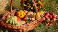 10 Ingredients You Should Consider Using This Fall (Besides Pumpkin)
