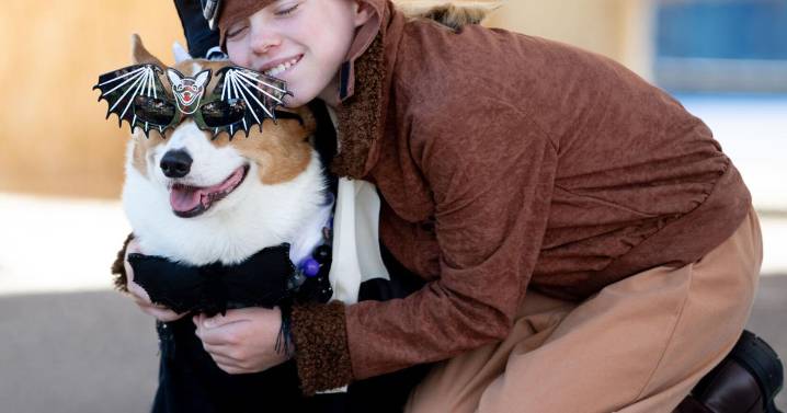 Costumed kids, pets parade through Solvang Park for Halloween fun