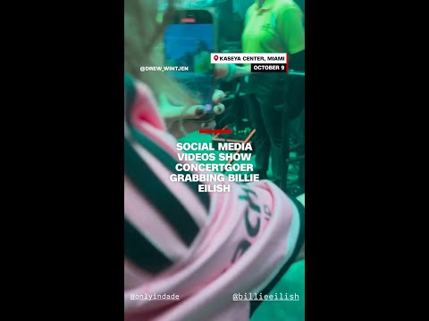 Social media videos show concertgoer grabbing Billie Eilish