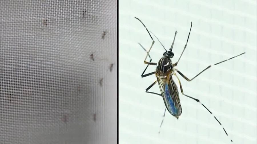 La Crosse, serious mosquito-borne illness, spreads across Ohio