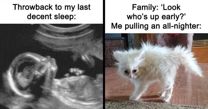 77 Funny Insomnia Memes For When Your Brain Won’t Just Shut Up And Cooperate