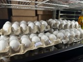 6 million eggs from Black Sheep Egg company recalled over Salmonella contamination