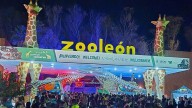 Profepa rechaza "Halloween en el Zoo" tras denuncias en redes; Municipio defiende evento