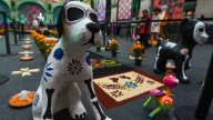 Frases para Mascota Fallecida: Mensajes para Recibir a Perros y Gatos en Ofrenda, Hoy Llegan