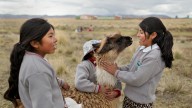 Photos celebrate the glory of girls on 'International Day of the Girl' : Goats and Soda : NPR