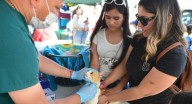 Realiza Protección Animal más de 14 mil castraciones de perros y gatos para controlar población en Hermosillo