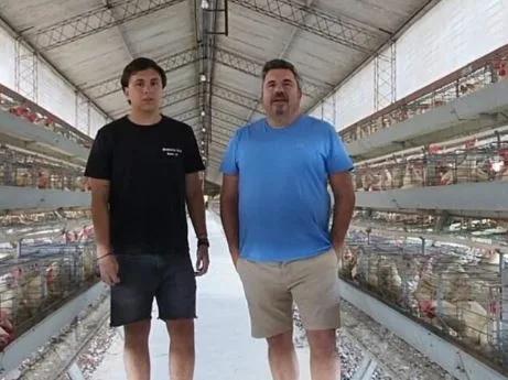 Estudian comercializar maples de 60 unidades