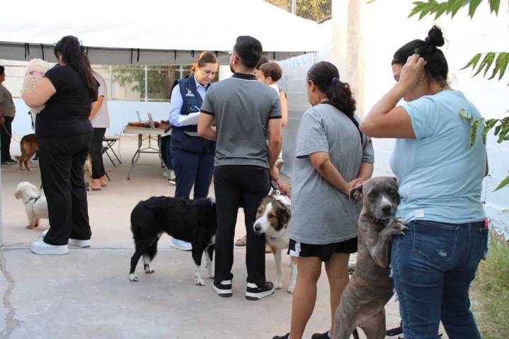 Vacuna Municipio a más de 200 mascotas en colonia Nombre de Dios