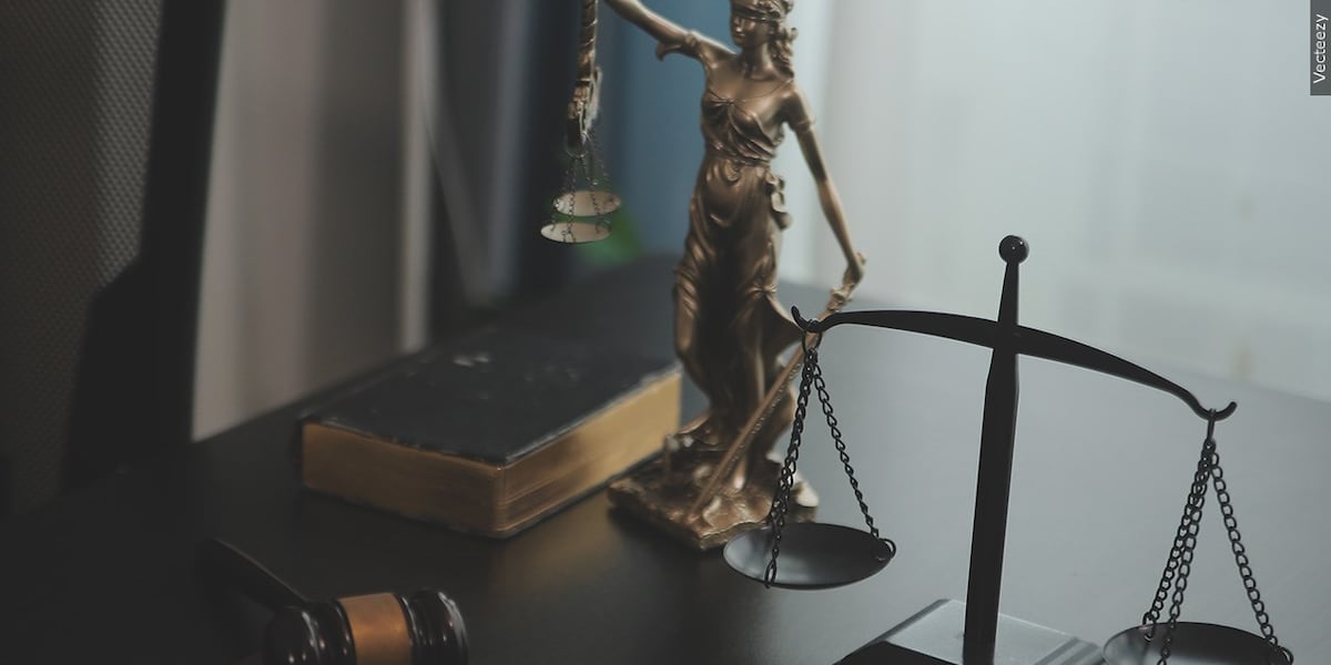 Judge rules SC can continue handing over voter data to federal government