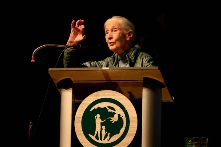 Stunned educators, students learn of Goodall’s death in Pasadena, where she was scheduled to speak